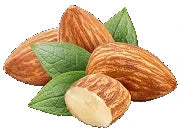 Süßmandelöl